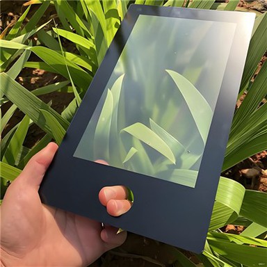 Pimestamisvastane paneel